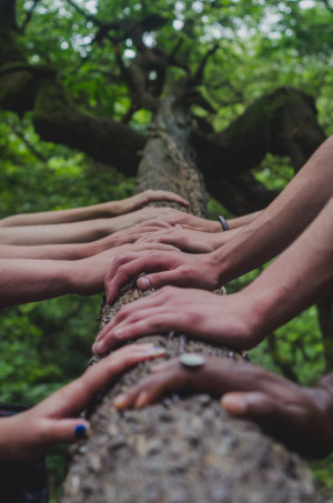 Teamworking hands