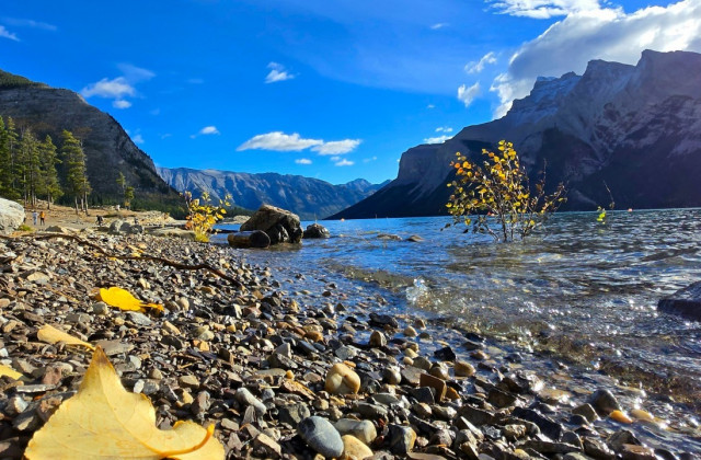 A low-angle view across a rocky lakeshore, with yellow autumn leaves in the foreground, clear blue water, small lakeside trees, and dramatic mountains under a bright blue sky.